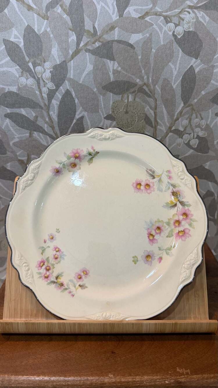 Set of Four Homer Laughlin Virginia Rose Dinner Plate Floral Platinum Trim